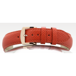 332 DANIELLI - NEW - KALV