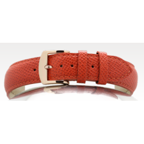 332 DANIELLI - NEW - KALV