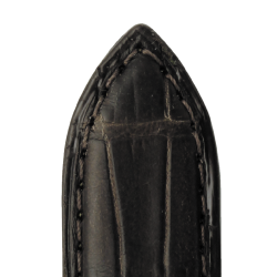 545 ORLANDO - Alligator