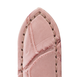 545 ORLANDO - Alligator