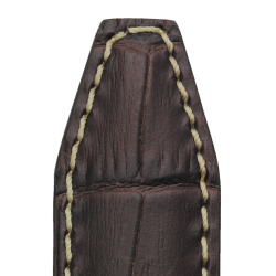 559 INDIANA - Alligator kalv