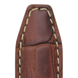 559 INDIANA - Alligator kalv