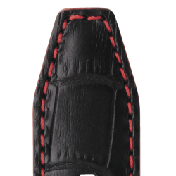 559 INDIANA - Alligator kalv