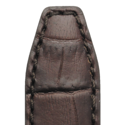 559 INDIANA - Alligator kalv med samme farve syning