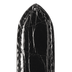 565 RIVIERA - gte Kroko