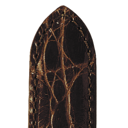 565 RIVIERA - gte Kroko