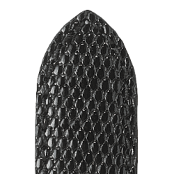 566 DELPHES - GTE FIRBEN