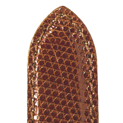 566 DELPHES - GTE FIRBEN