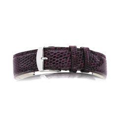 566 DELPHES - GTE FIRBEN