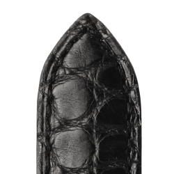  575 BOCA - ALLIGATOR