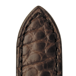  575 BOCA - ALLIGATOR