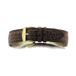  575 BOCA - ALLIGATOR