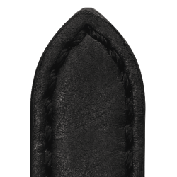 743  KANSAS - Koskind med samme farve syning