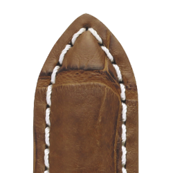 755 BAYOU. Alligator med hvid syning