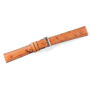 FLuco �gte struds 386